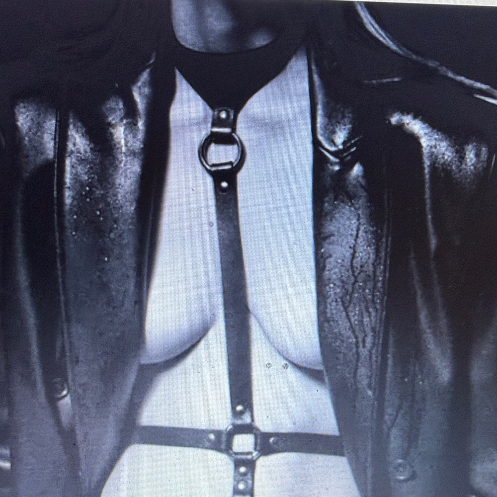 0770 Roxane Red Leather Harness - Picture 4 of 15